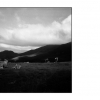 "Les vaches de Joseph", Col de Nédé (Ariège)